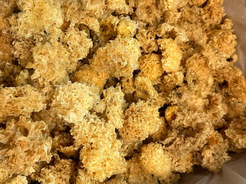 漳洲丙耳｜滋陰養顏清熱