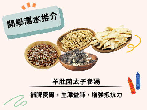 特別適合小朋友｜羊肚菌太子參湯