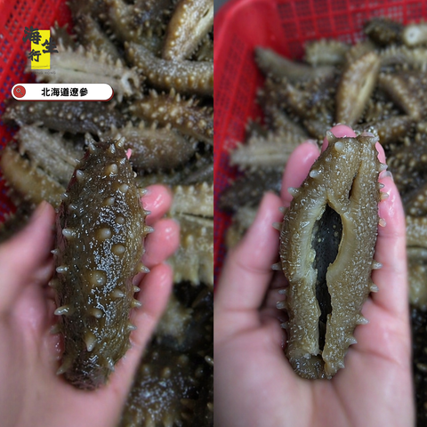 急凍日本北海道遼參(2條裝)