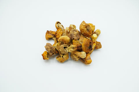 姬松茸,海生行,香港海味老字號品牌,主要批發零售,分享藥材食譜